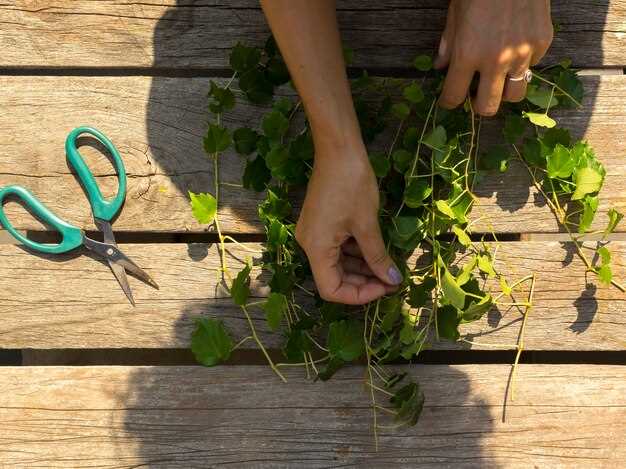 3. La vulnérabilité et la protection nécessaire