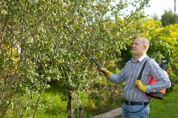 Prune de petite taille