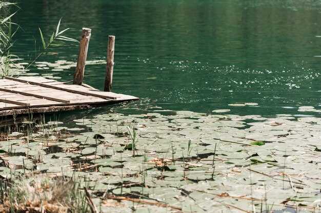 Le symbolisme de l'eau dans les rêves