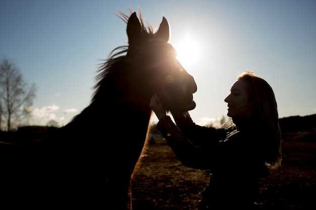 Le cheval mordant l'homme: interprétation spirituelle