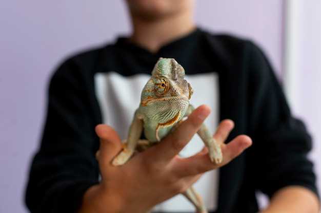 Interprétation du rêve du crapaud qui mord la main