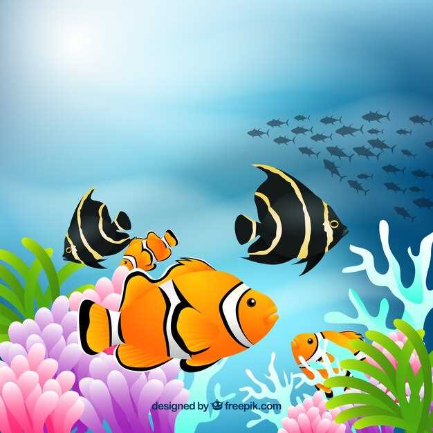 Définition du poisson-chat dans les rêves