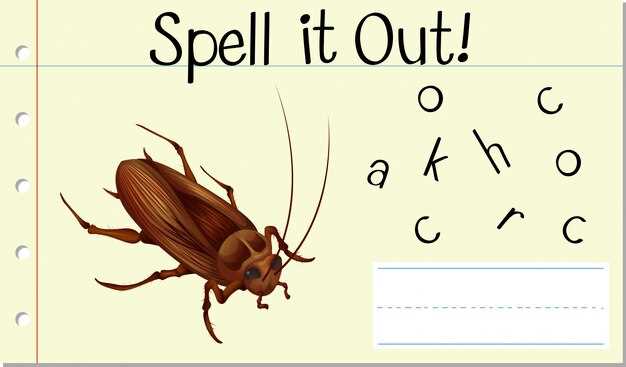 La nécessité de faire le ménage dans nos vies