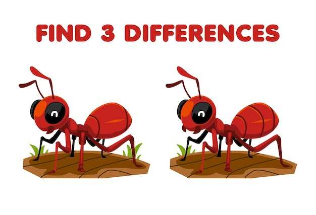Symbolisme des fourmis rouges