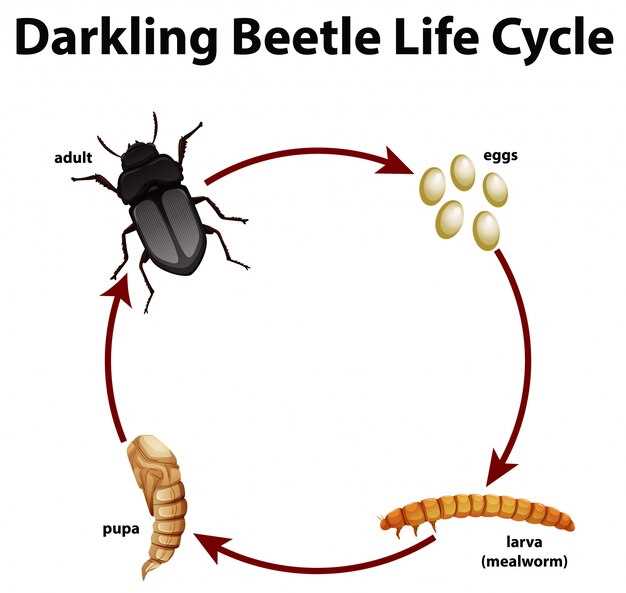 Les larves d'insectes et les émotions refoulées