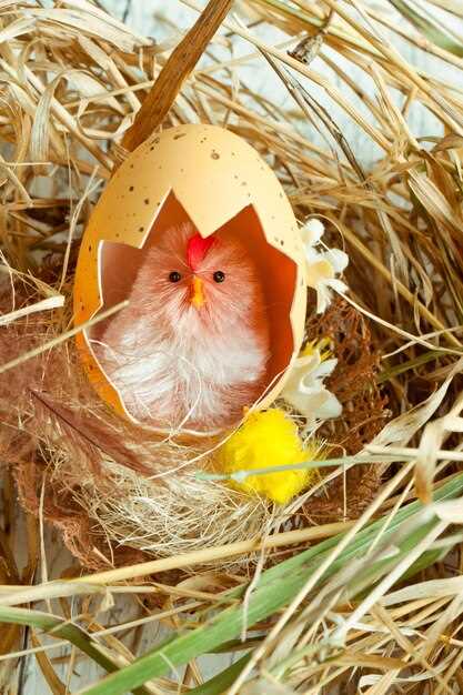 Le nid comme symbole de confort et de sécurité