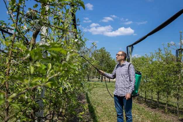 Découvrez l'importance des prunes sur l'arbre dans vos rêves