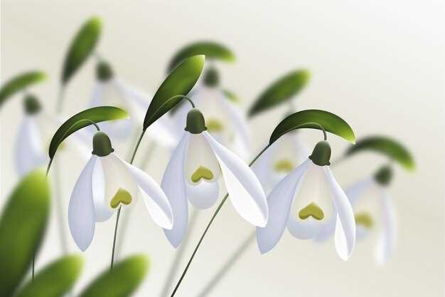 2. Connection avec la nature