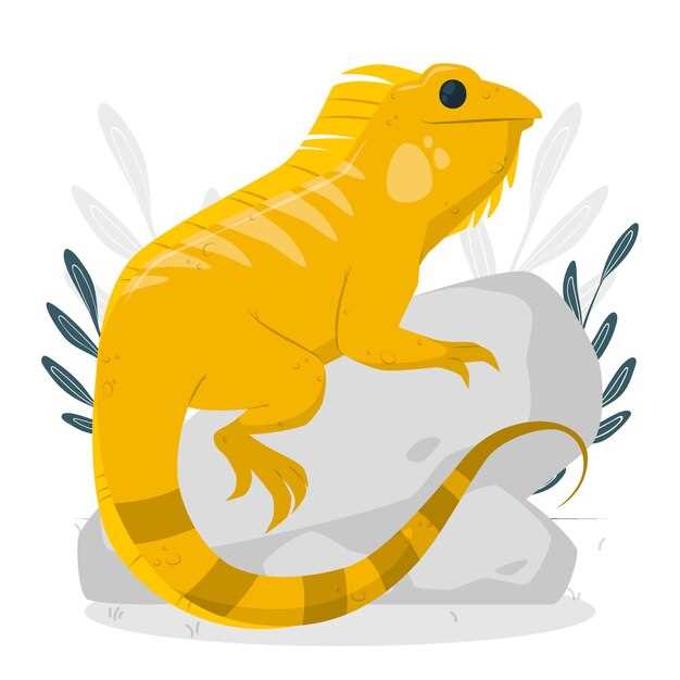 2. Analyser les symboles