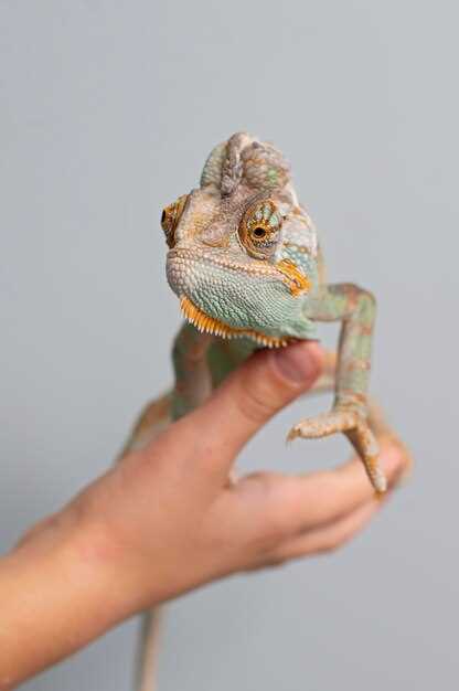 Influence des expériences passées