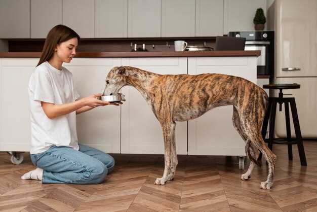 Interprétation des rêves : manger le chien