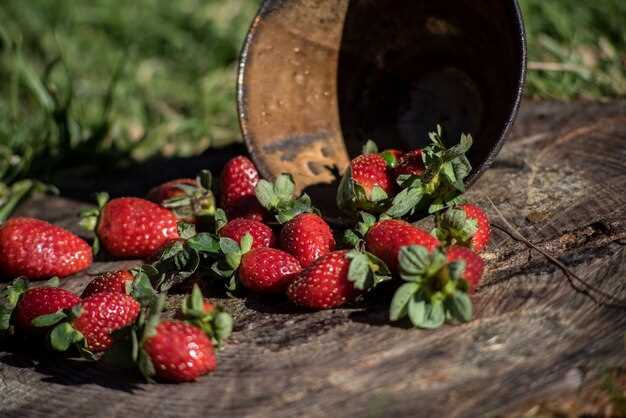 Les fraises rouges et les grosses fraises du jardin dans le rêve : une représentation de l'abondance