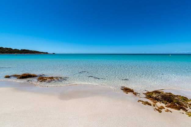 Quelle est la signification des rêves de mer bleue et sable blanc ?