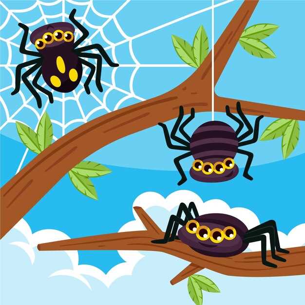 Conseils pour surmonter les peurs liées aux morsures d'araignée en rêve