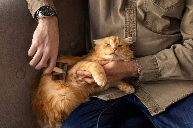 Rêver de chatons comme symbole de maternité