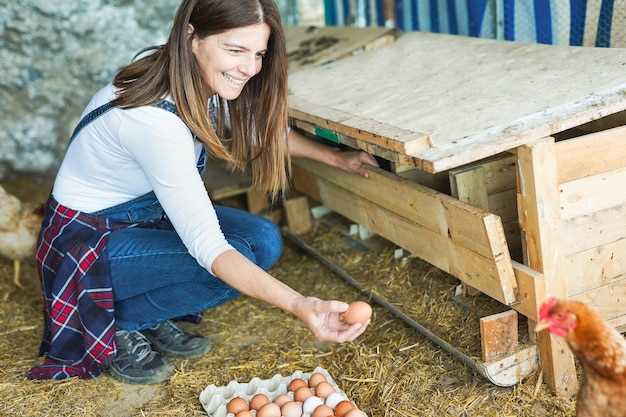 Les significations positives du rêve de nourrir un coq avec la main