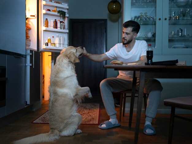 4. Le comportement du chien dans l'appartement