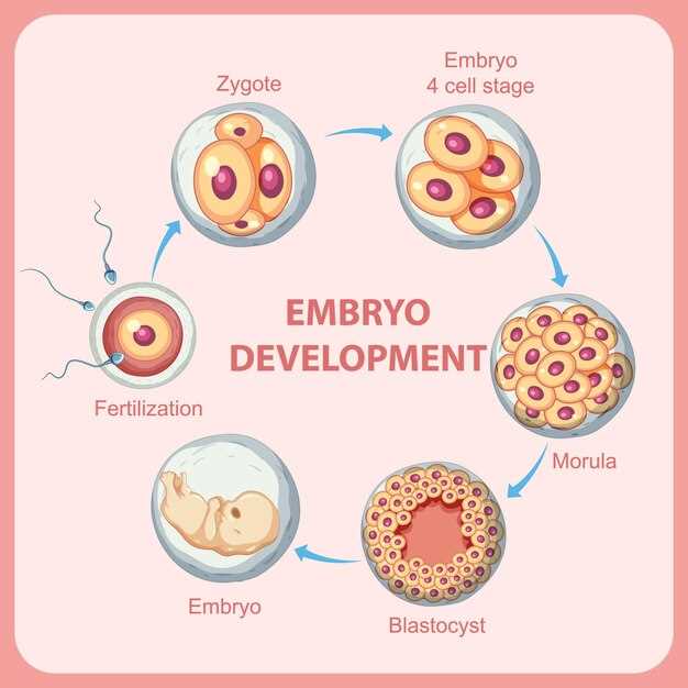 Le processus de naissance