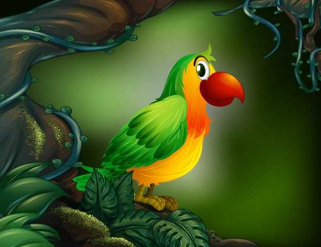 La symbolique des couleurs
