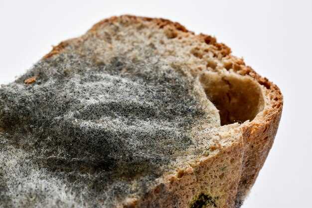 La structure sociale