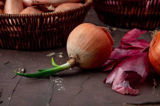 Signification des pelures d'oignon en sachet