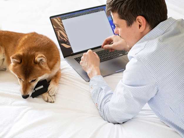 Le rêve de la perte d'un chien et le besoin de transformation