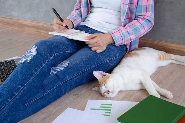 Les conseils pour surmonter la peur de perdre un chien en rêve