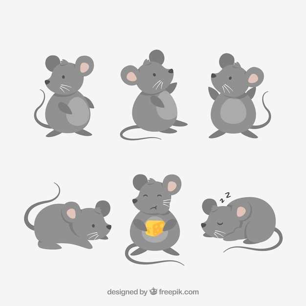 Tuer une souris en rêve : interprétations possibles