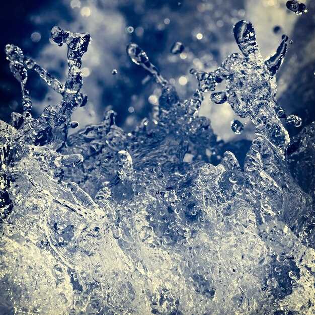 Régénération et transformation