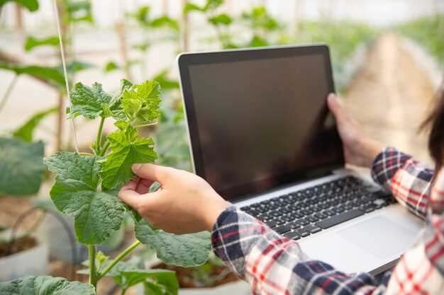 Quels sont les sentiments que les piments en rêve peuvent représenter ?