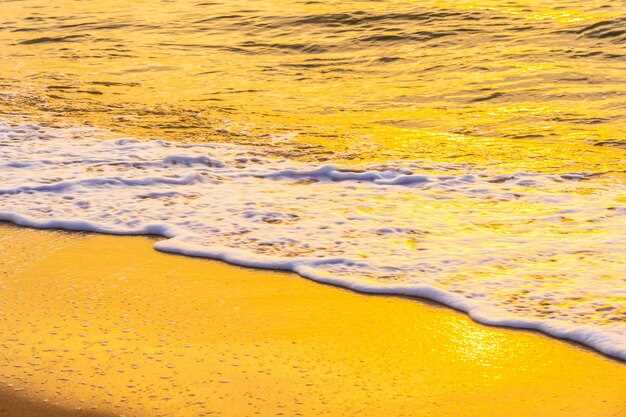 Les différentes interprétations