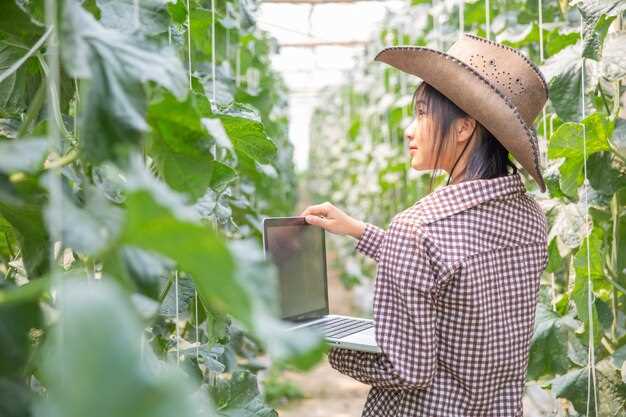 Les aspects culturels liés à la plantation de fraises en rêve