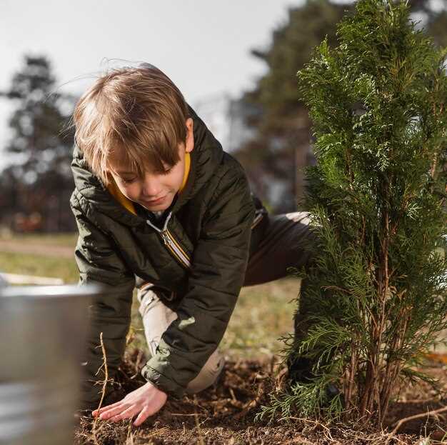 L'arbre en tant que symbole de la vie après la mort