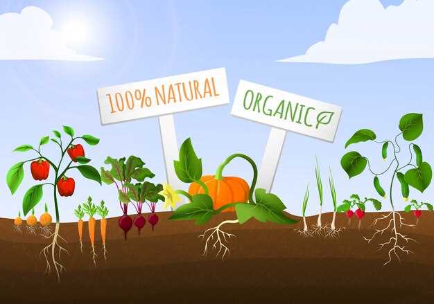 Influence des croyances populaires sur les rêves de pommes de terre