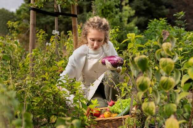 Signification des tomates dans le rêve