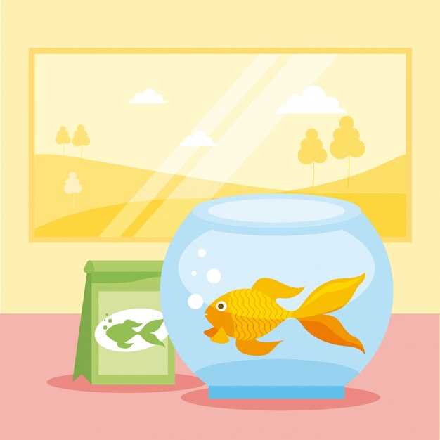 Les différentes interprétations du saut du poisson hors du réservoir