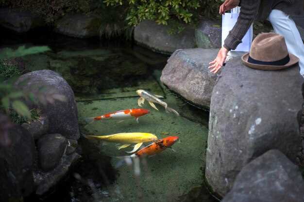 Les poissons et la spiritualité dans les rêves