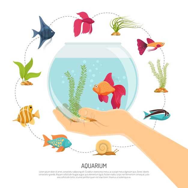 La signification des différentes espèces de poissons d'aquarium