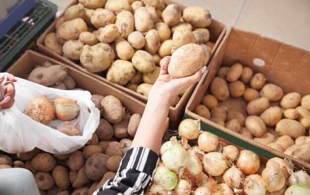 Interprétation des pommes de terre crues en tubercules en rêve