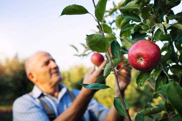 Le printemps : la jeunesse et l'espoir