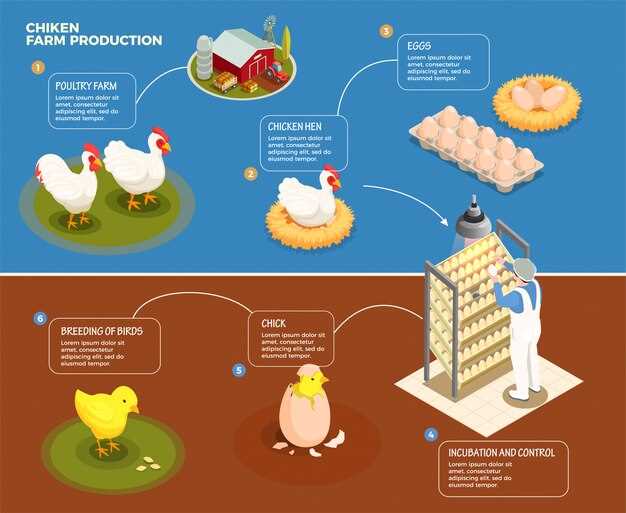 Poulet en rêve : qu'est-ce que cela signifie sur le plan émotionnel ?