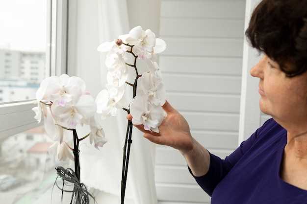 Un symbole d'épanouissement intérieur