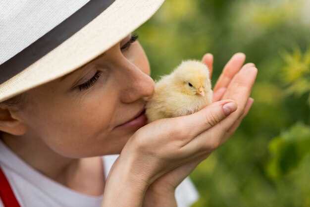 La signification psychologique des poussins de cigognes en rêve