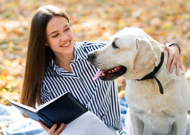 3. Le Labrador Retriever :