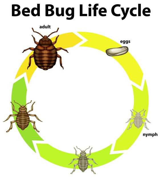 Comment interpréter les rêves avec des symboles