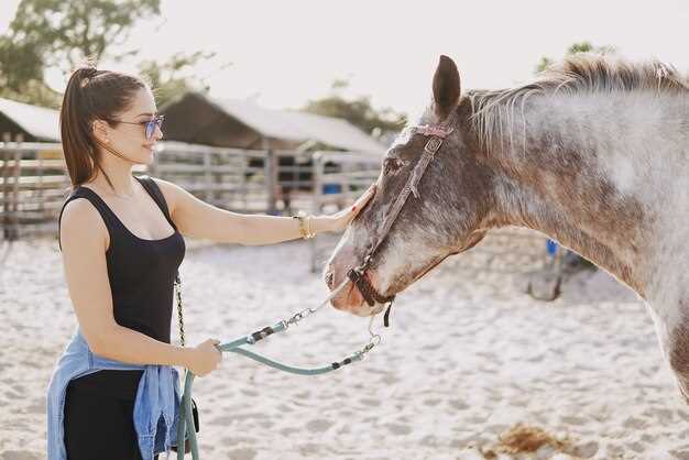 2. Le comportement du cheval