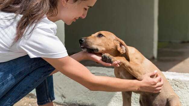 Symbolisme du chien dans les rêves