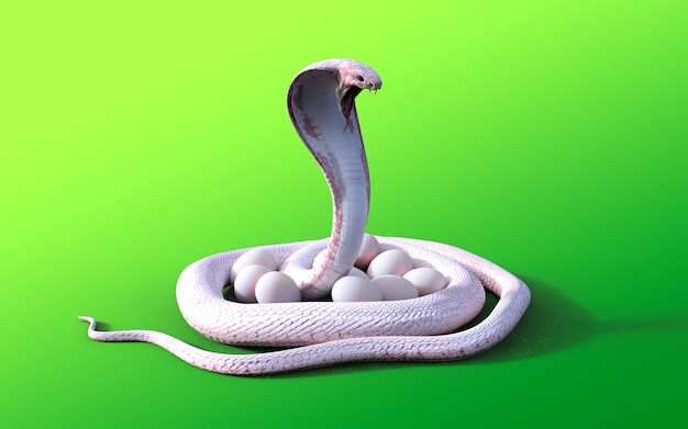 Le rêve d'un cobra agressif : signification