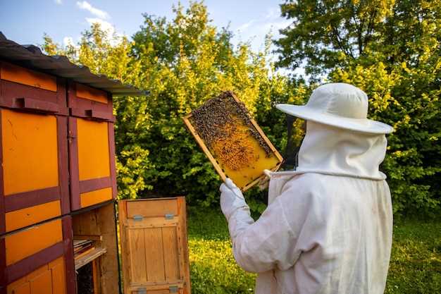 L'essaim d'abeilles en relation avec le domaine familial