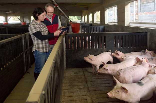 La symbolique du porc dans différentes cultures